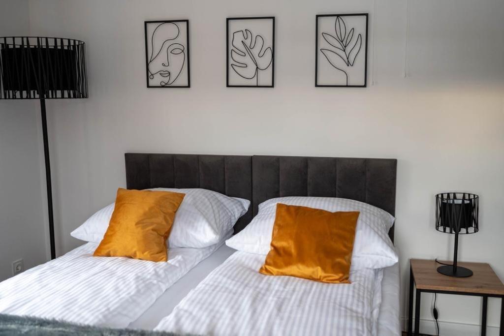 Apartament Nad Szczawniczkiem 무스지나 외부 사진